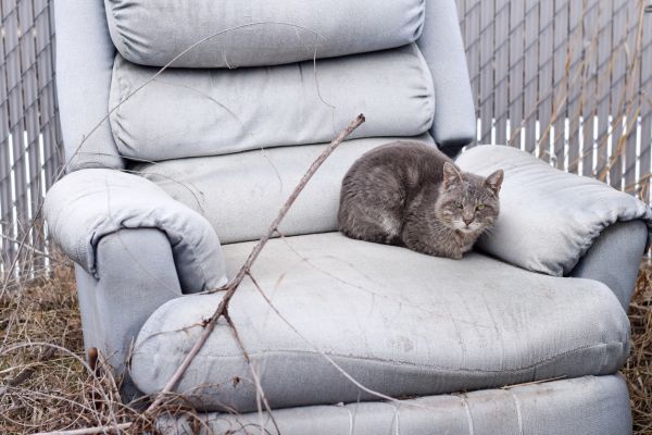 Recliner Disposal in Poughkeepsie